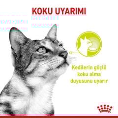 Royal Canin Sensory Smell Gravy Adult Yetişkin Kedi Konservesi 85 Gr
