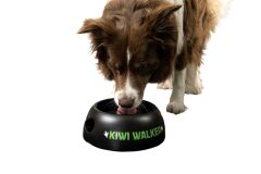 Kiwi Walker Plastik Mama Kabı - Yeşil