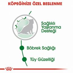 Royal Canin Mini Ageing 12+ Pouch Yaşlı Köpek Konservesi 6 Adet 85 Gr