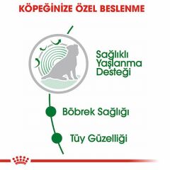 Royal Canin Mini Ageing 12+ Pouch Yaşlı Köpek Konservesi 6 Adet 85 Gr