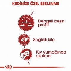 Royal Canin Fit 32 Adult Yetişkin Kedi Maması 400 Gr