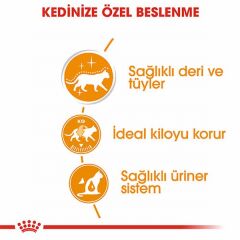 Royal Canin Intense Beauty Gravy Pouch Yetişkin Kedi Konservesi 6 Adet 85 Gr