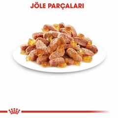 Royal Canin Pouch Kitten Jelly Yavru Kedi Konservesi 85 Gr