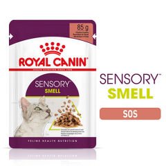 Royal Canin Sensory Smell Gravy Adult Yetişkin Kedi Konservesi 6 Adet 85 Gr