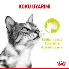 Royal Canin Sensory Smell Gravy Adult Yetişkin Kedi Konservesi 6 Adet 85 Gr