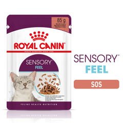 Royal Canin Sensory Feel in Gravy Adult Yetişkin Kedi Konservesi 12 Adet 85 Gr