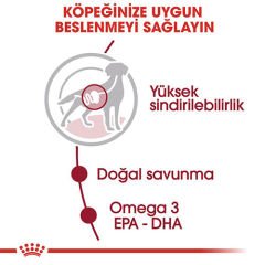 Royal Canin Medium Adult Gravy Yetişkin Köpek Konservesi 140 Gr