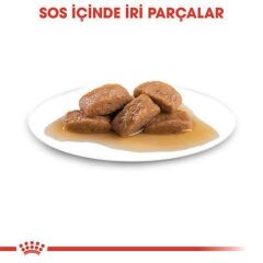 Royal Canin Maxi Büyük Irk Yetişkin Köpek Konservesi 140 Gr