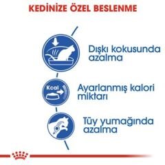 Royal Canin Indoor Yetişkin Kedi Maması 400Gr