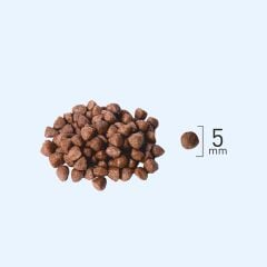 Natura Düşük Tahıllı Tavuk _ Pirinç Yavru Kedi Başlangıç Maması 2,25Kg