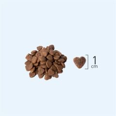 Natura Düşük Tahıllı Somon_Yaban Mersini Mini Irk Yavru Köpek M 2,75Kg