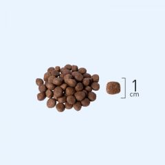 Natura Düşük Tahıllı Tavuk_Chia Mini Irk Yetişkin Köpek Maması 2,75Kg