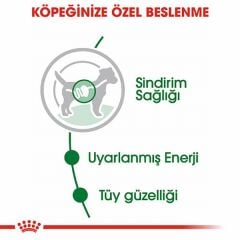 Royal Canin Mini Adult Pouch Yetişkin Köpek Konservesi 85 Gr