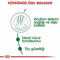 Royal Canin Mini İndoor Adult Küçük Irk Yetişkin Köpek Maması 1,5 Kg