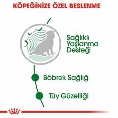 Royal Canin Mini Ageing 12+ Pouch Yaşlı Köpek Konservesi 85 Gr