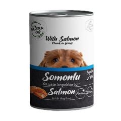 Eco Natura Pet Somonlu Yetişkin Köpek Konservesi Gravy 400 Gr