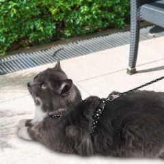 PetTagArt Siyah Beyaz Yıldız Desenli Ayarlanabilir Kedi Göğüs Tasma Seti 10 mm 110 cm