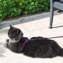 PetTagArt Lacivert Mavi Kırmızı Çizgili Desenli Ayarlanabilir Kedi Göğüs Tasma Seti 10 mm 110 cm