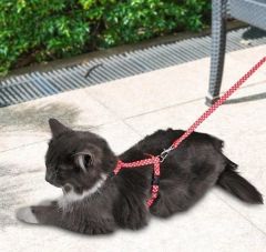 PetTagArt Kırmızı Beyaz Kalp Desenli Ayarlanabilir Kedi Göğüs Tasma Seti 10 mm 110 cm