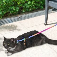 PetTagArt Gökkuşağı Desenli Ayarlanabilir Kedi Göğüs Tasma Seti 10 mm 110 cm