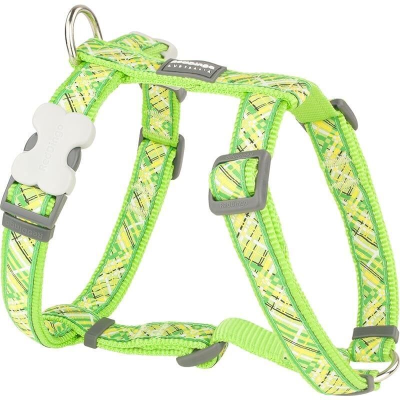 Reddingo Flanno Desenli Köpek Göğüs Tasması 15 mm (S) - Lime