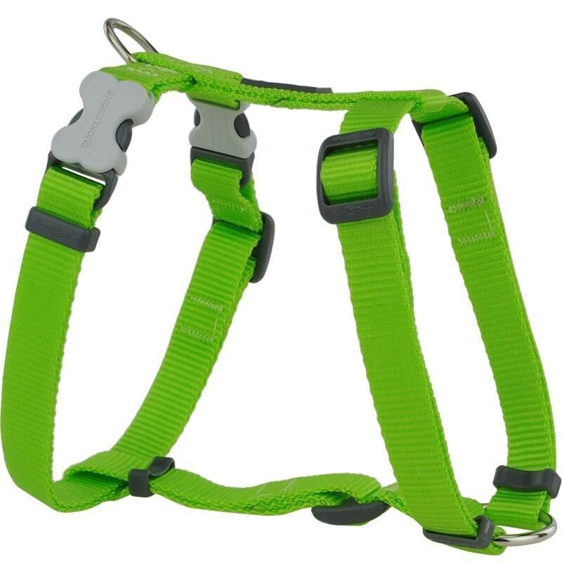 Reddingo Klasik Göğüs Tasması 20 mm (M) - Lime