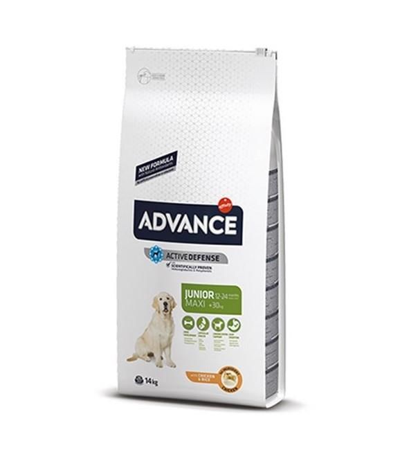 Advance Dog Maxi Junior Büyük Irk Yavru Köpek Maması 14Kg