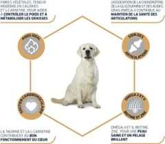 Advance Labrador ve Golden Retriever 12kg.