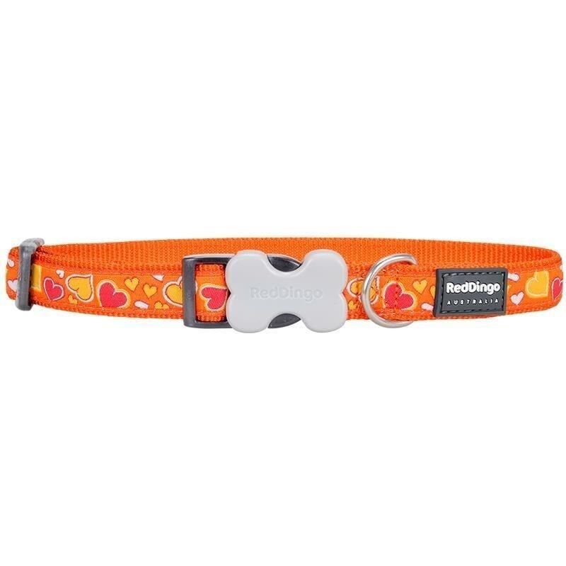 Reddingo Breezy Love Desenli Köpek Boyun Tasması Turuncu - 25 mm (L)