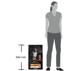Pro Plan Duo Delice Beef Parça Etli Yetişkin Köpek Maması 10Kg