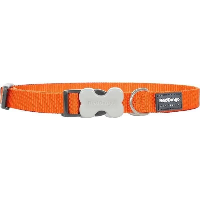 Reddingo Klasik Köpek Boyun Tasması Turuncu - 25 mm (L)