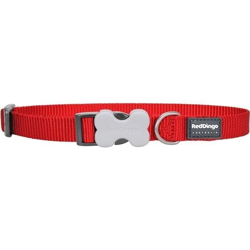 Reddingo Klasik Köpek Boyun Tasması Kırmızı - 40 MM (GS)