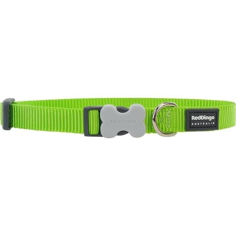 Reddingo Klasik Köpek Boyun Tasması 20 mm (M) - Lime