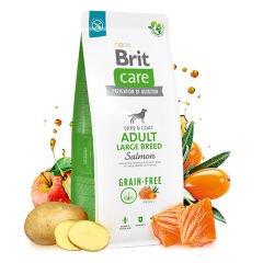 Brit Care Skin Coat Adult Large Breed Somonlu Büyük Irk Tahılsız Yetişkin Köpek Maması 12 Kg
