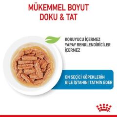 Royal Canin Medıum Orta Irk Yavru Köpek Konservesi 140 Gr