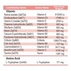 Dose One A Day Dog Large 16-25 kg