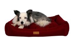 Dubex Cookie Kedi Köpek Yatağı Kırmızı Medium 70x60x22 cm