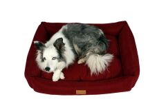 Dubex Cookie Kedi Köpek Yatağı Kırmızı Large 95x75x22 cm