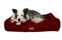 Dubex Cookie Kedi Köpek Yatağı Kırmızı Large 95x75x22 cm