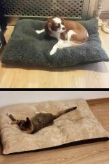Patiderm Peluş Kedi ve Köpek Yatağı Yer Minderi - Karışık Renk