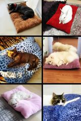 Patiderm Peluş Kedi ve Köpek Yatağı Yer Minderi - Karışık Renk