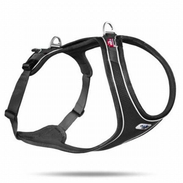 Curli Belka Comfort Köpek Göğüs Tasması Siyah XS