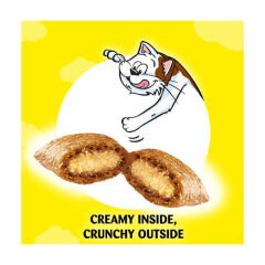 Dreamies Somon Balıklı Kedi Ödülü 60 Gr