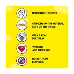 Dreamies Somon Balıklı Kedi Ödülü 60 Gr