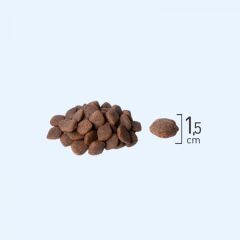 Natura Düşük Tahıllı Kuzu_Nar Orta Büyük Irk Yetişkin Köpek M 2,75Kg
