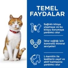 Hills Young Adult Sterilesed Ton Balıklı Kısır Kedi Maması 3 Kg