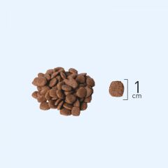 Natura Düşük Tahıllı Somon, Hamsi _ Böğürtlen Kısır Kedi Maması 8+2 Kg