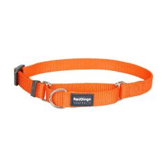 Reddingo Klasik Köpek Boyun Eğitim Tasması / 41-63 cm Turuncu - 25 mm (L)