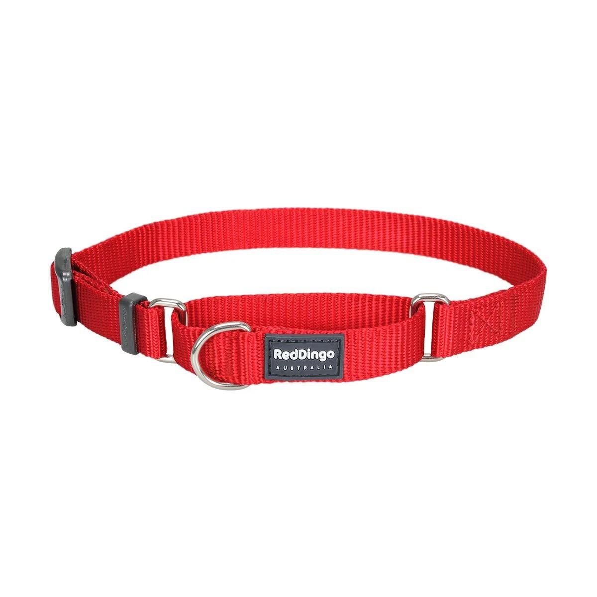 Reddingo Klasik Köpek Boyun Eğitim Tasması / 41-63 cm Kırmızı - 25 mm (L)