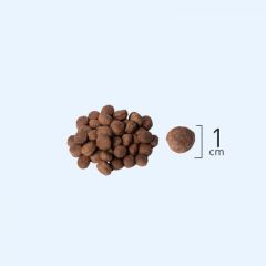 Natura Düşük Tahıllı Kuzu _ Nar Orta ve Büyük Irk Yavru Köpek M 2,75Kg